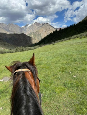 MALINA, Karakol